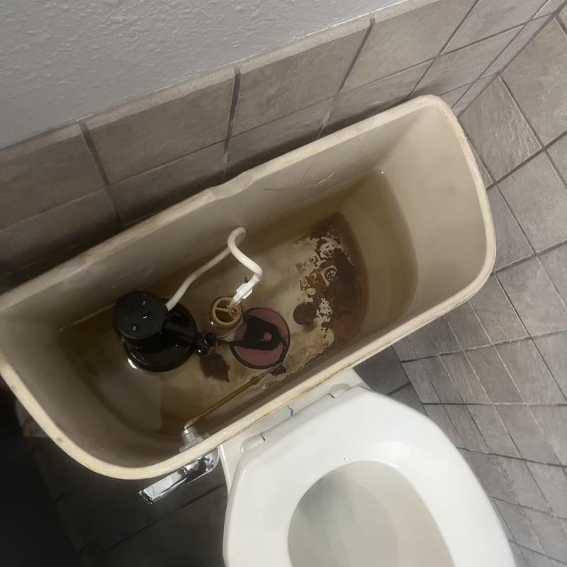 Toilet tank with corroded interior and water level components