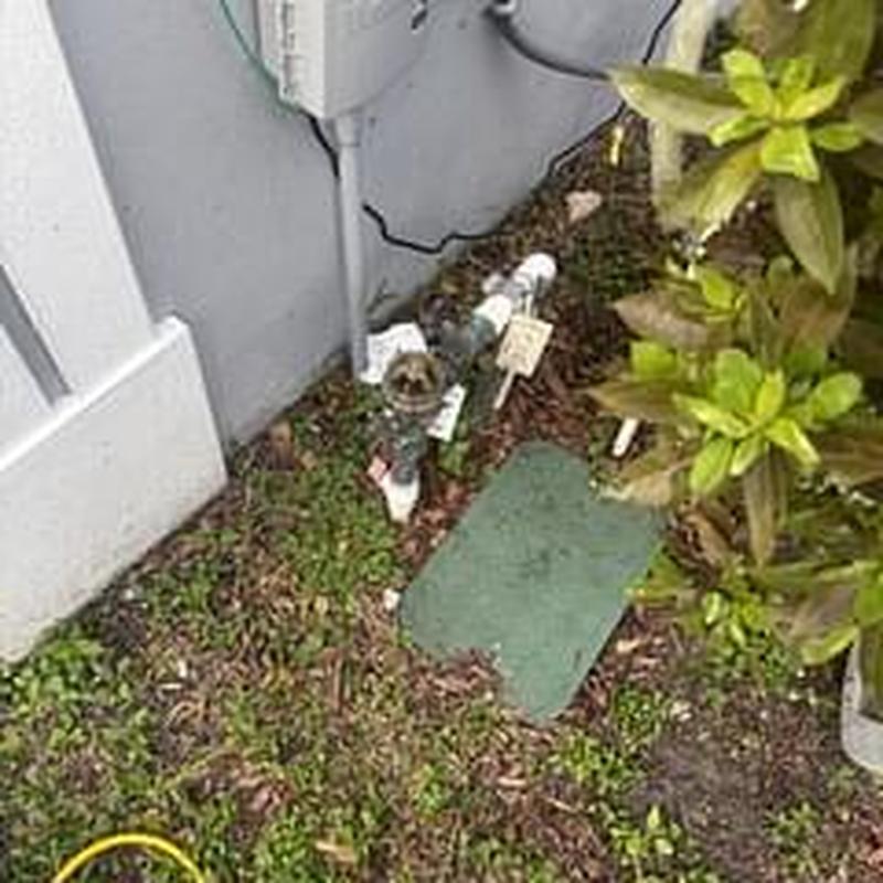 Backflow preventer valves near building exterior