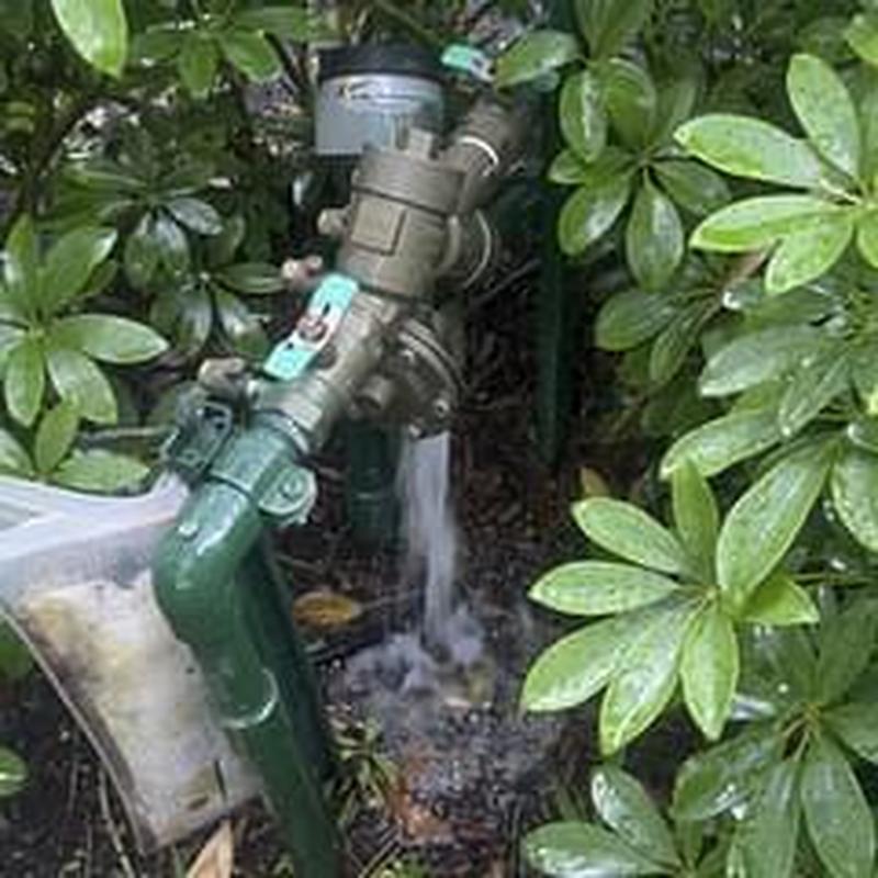 975XL2 backflow valve leaking water among bushes