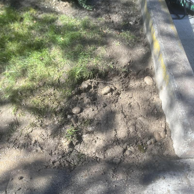 Water service line excavation near concrete curb and grass