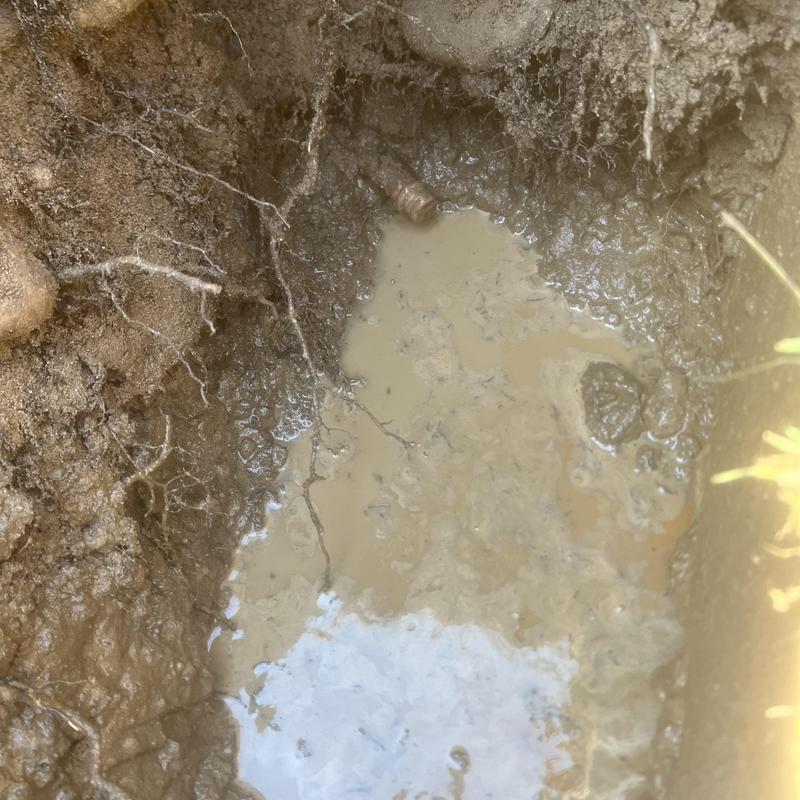 Water service line exposed for hose bib capping