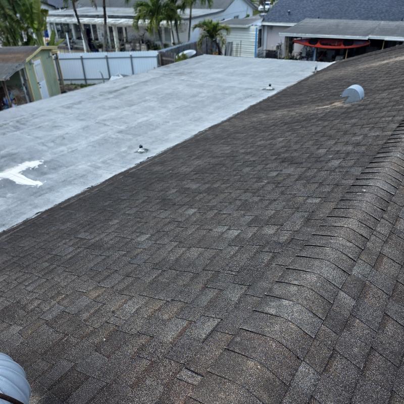 Asphalt shingle roof and adjacent flat roof overview