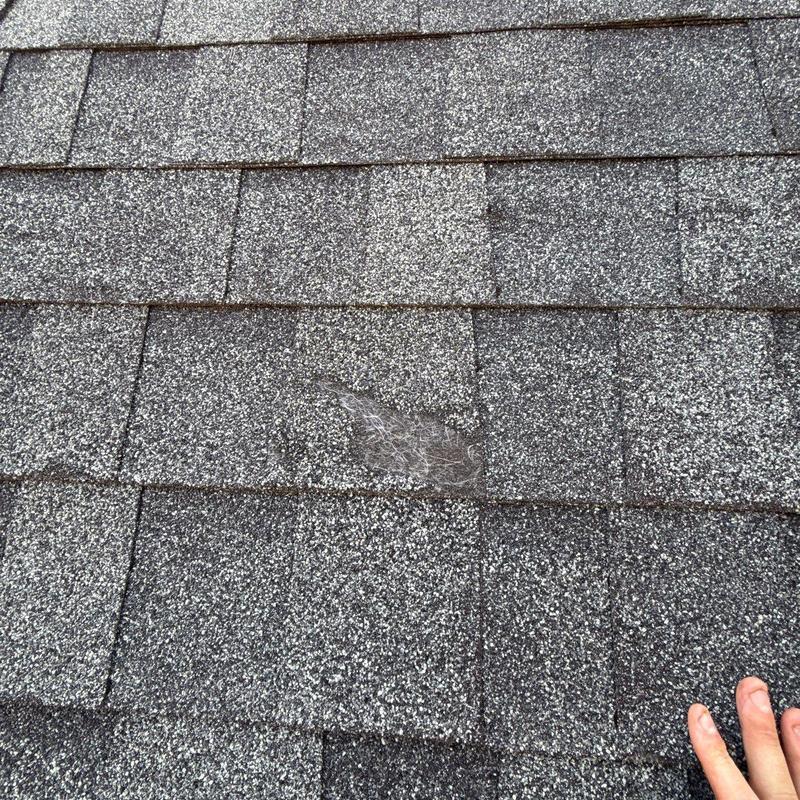 Asphalt shingles with hail damage and granule loss