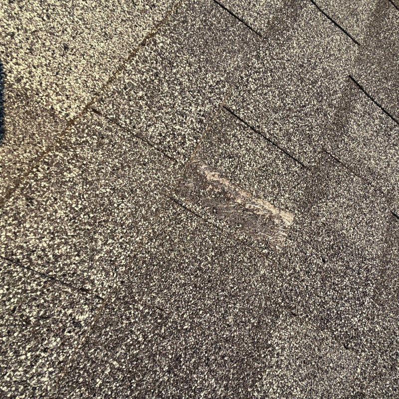 Asphalt shingle roof with hail damage and granule loss