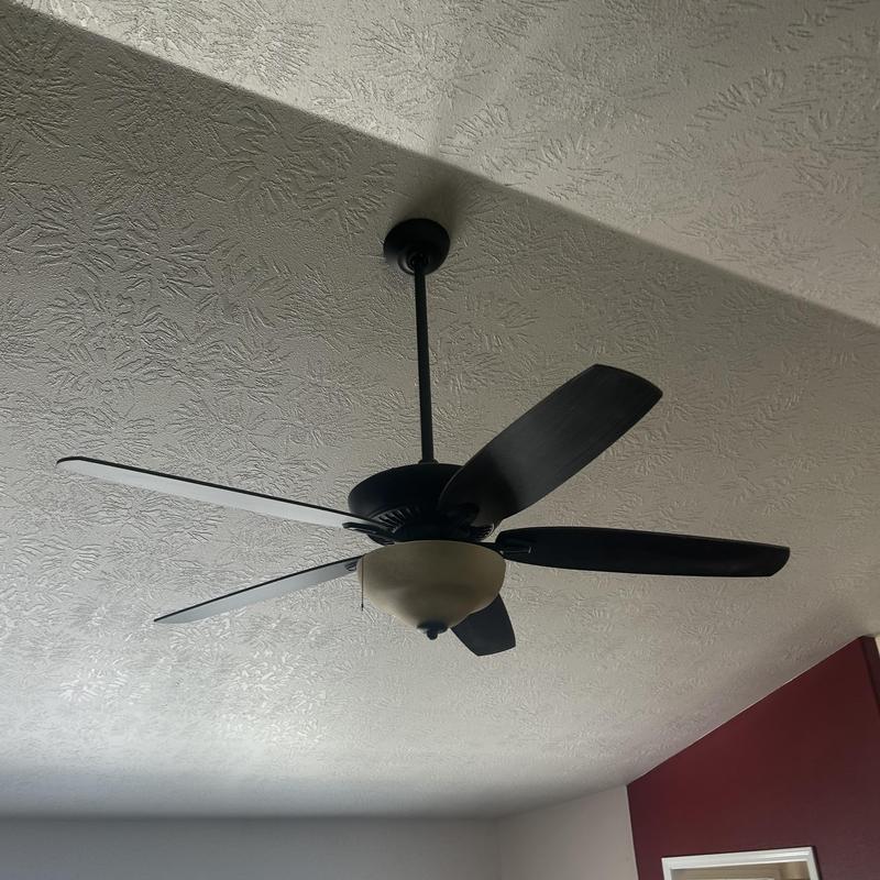 Ceiling fan with light fixture in living room ceiling