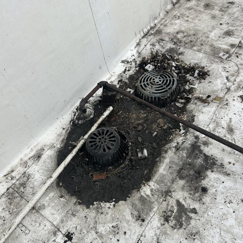 Roof drains clogged with grease and debris on flat roof
