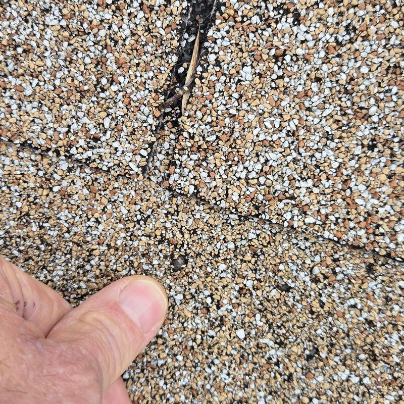 Asphalt roof shingles with hail damage close-up