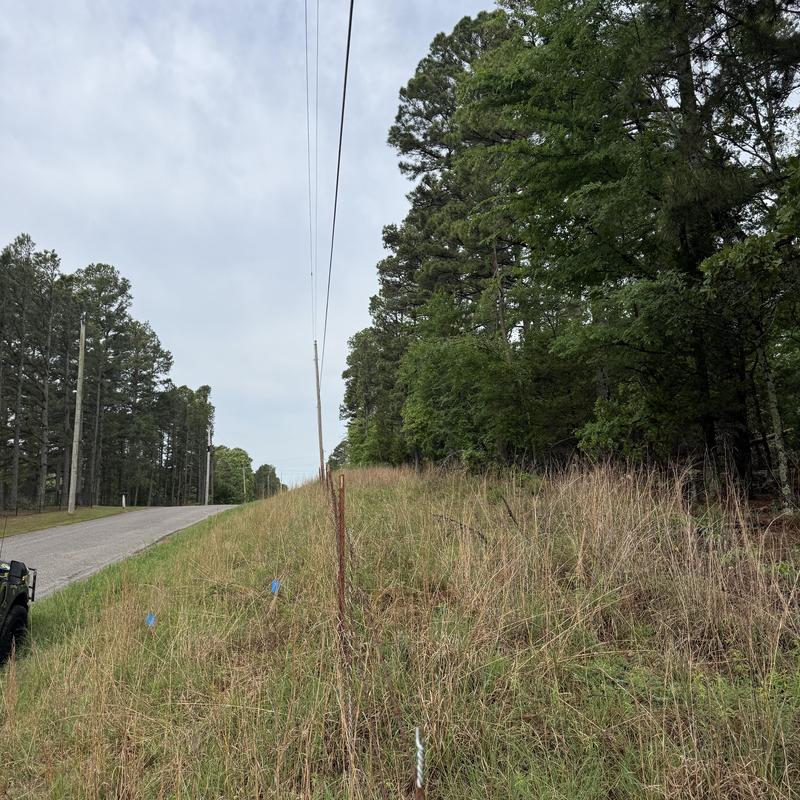 Utility power lines beside grassy roadside hill with trees Utility power lines beside grassy roadside hill with trees