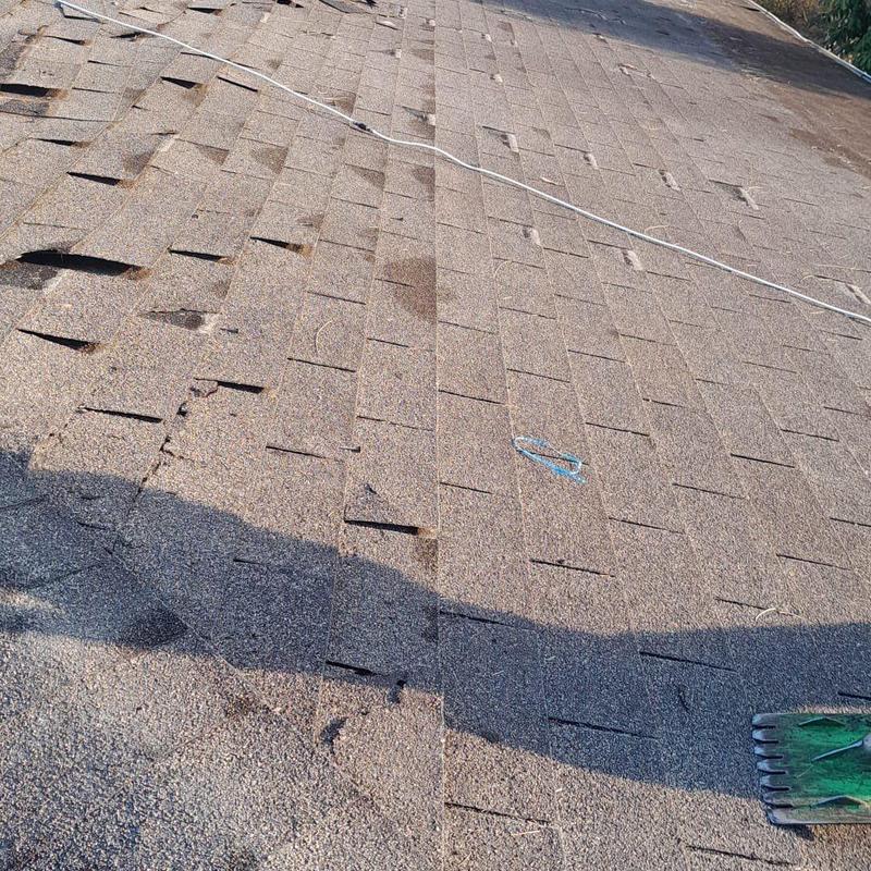 Shingle roof with damaged and lifted shingles