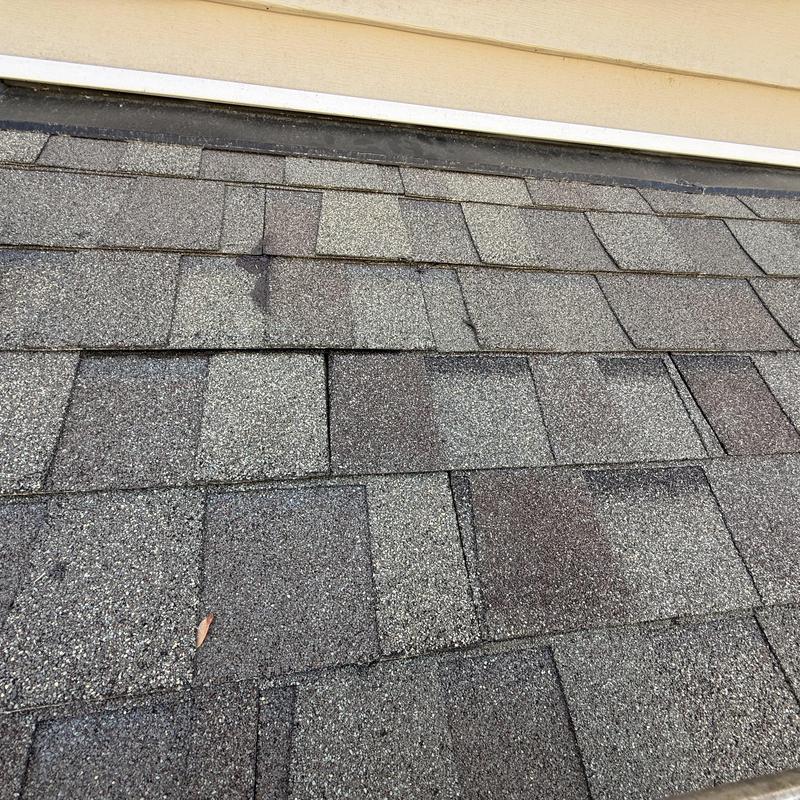 Asphalt shingle roof with repaired nail and water shield