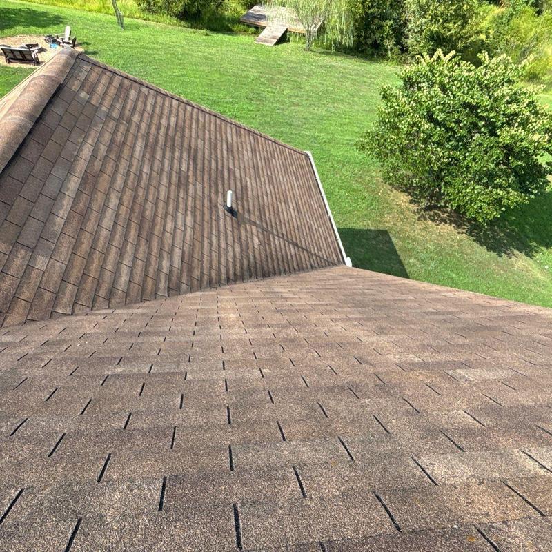 Asphalt shingle roof showing hail damage and granule loss