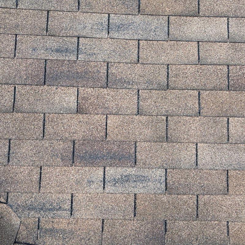 Roof shingles with hail damage and granule loss