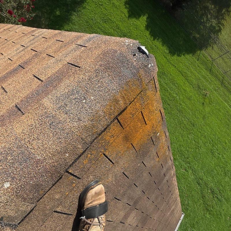 Roof shingles with hail damage and granule loss