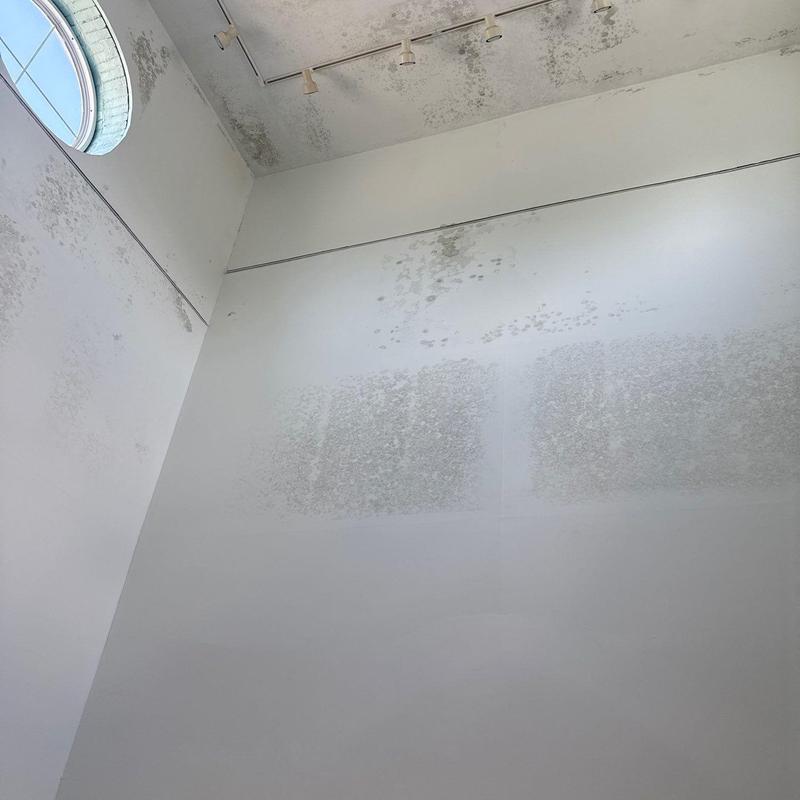 Ceiling mold and water damage on interior walls