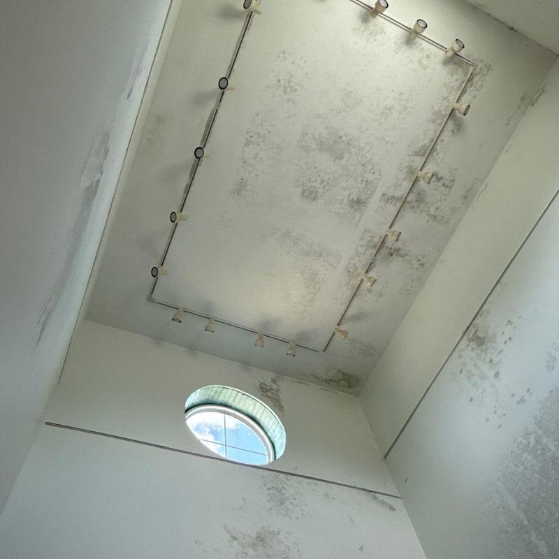 Ceiling mold damage near track lighting and window