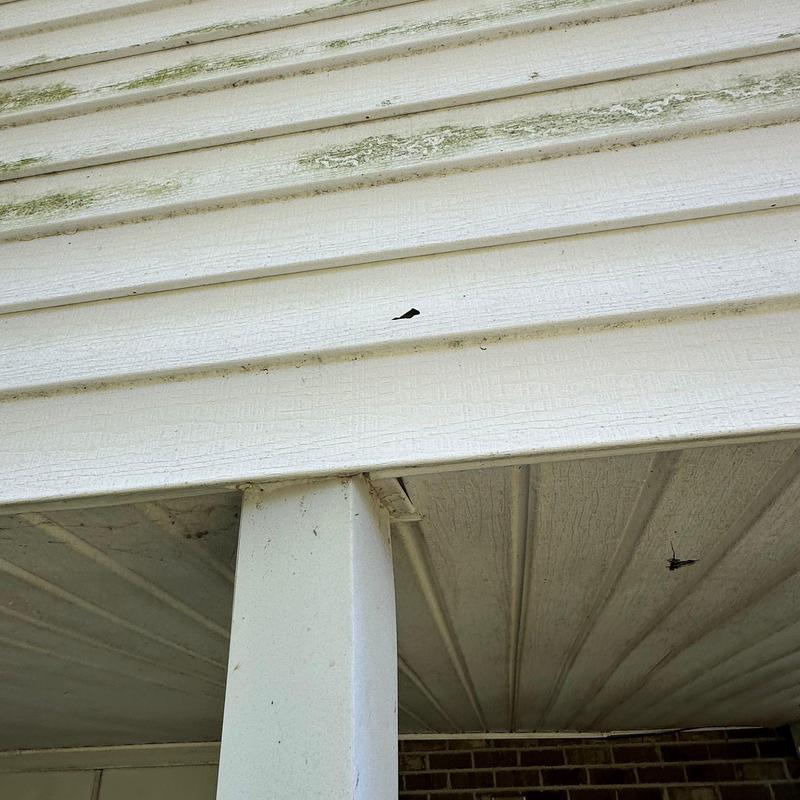 Vinyl siding damage with dirt and stains on porch paneling