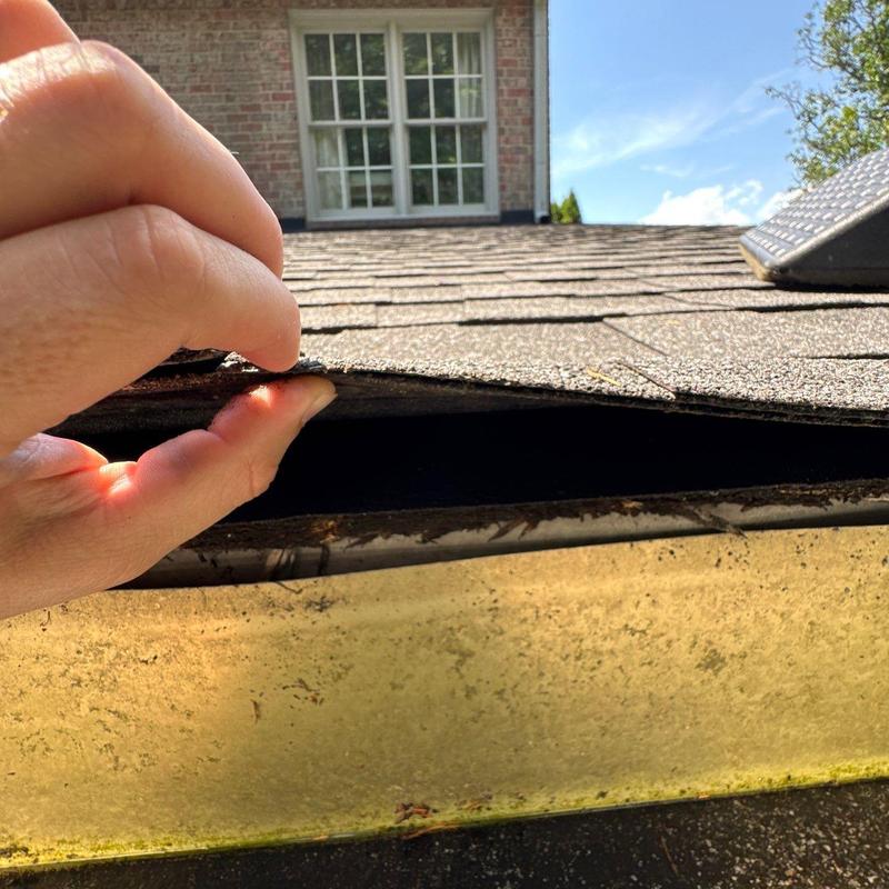 Asphalt shingles lifted to show gutter buildup