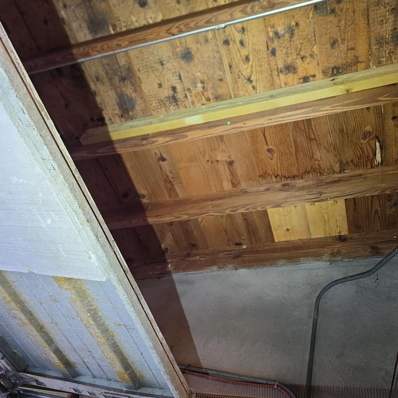 Wooden roof sheathing with signs of water damage and mold