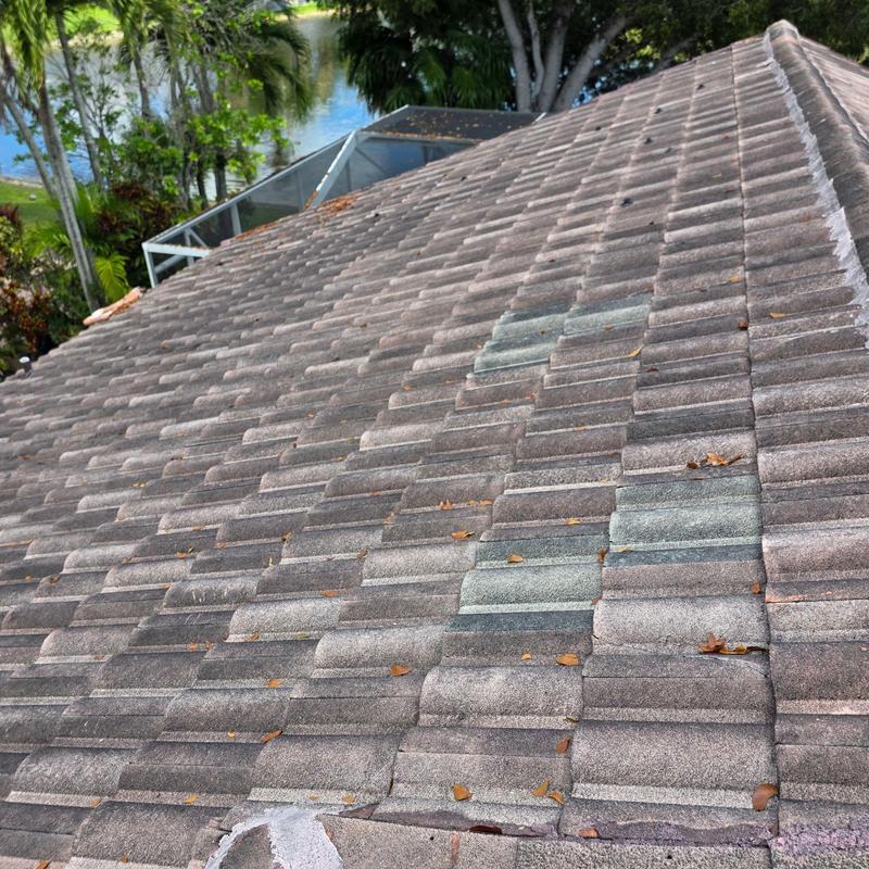 Tile roof with replaced tiles and leaf debris Tile roof with replaced tiles and leaf debris