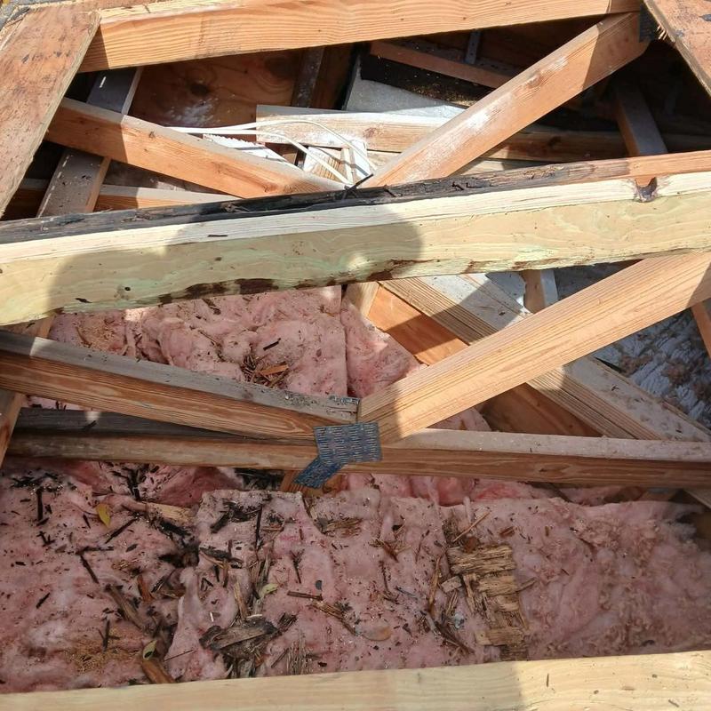 Roof truss framing with damaged insulation and debris Roof truss framing with damaged insulation and debris