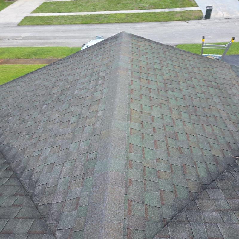 Asphalt shingle roof with ridge cap and algae stains
