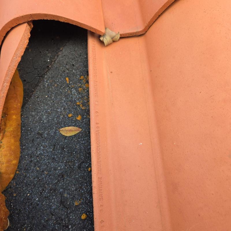Tile roof with broken corner and debris on shingles