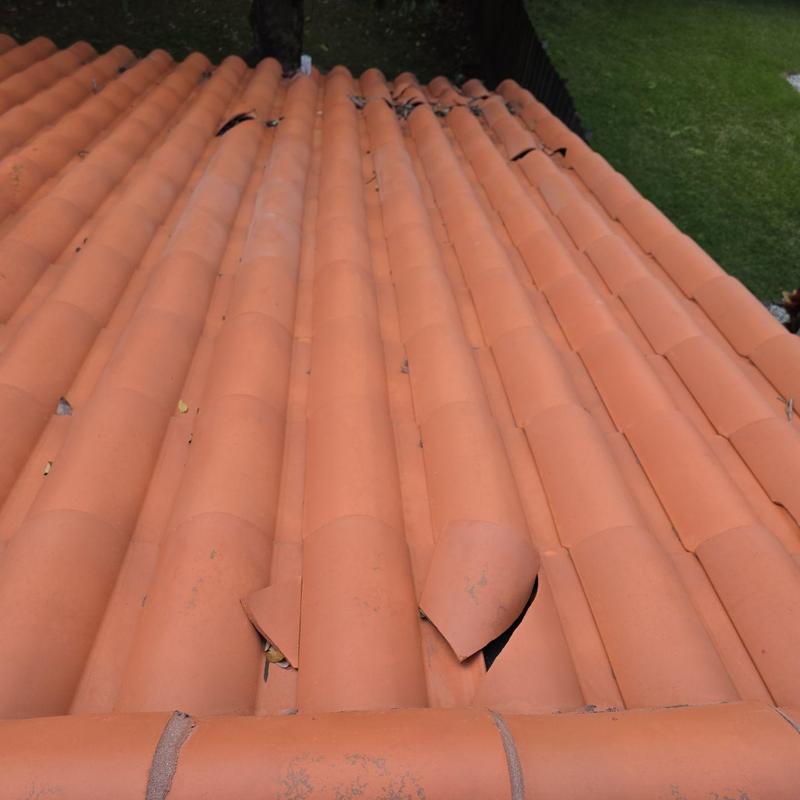 Tile roof with broken curved tiles near edge