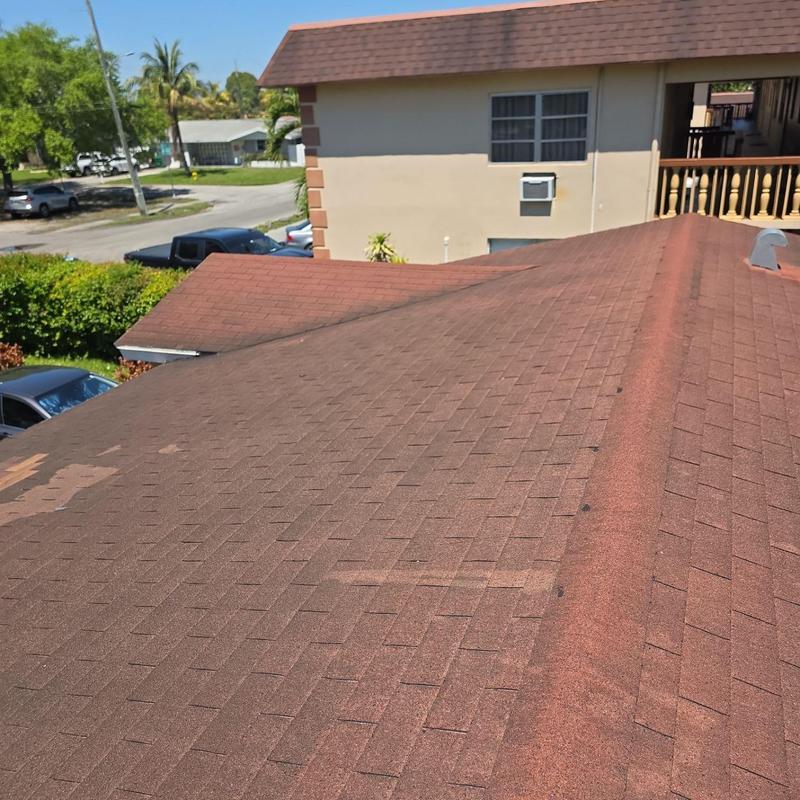 Asphalt shingle roof with wear spots under sunlight