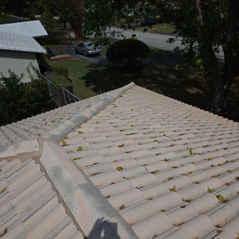 Concrete tile roof with ridge cap and fallen leaves