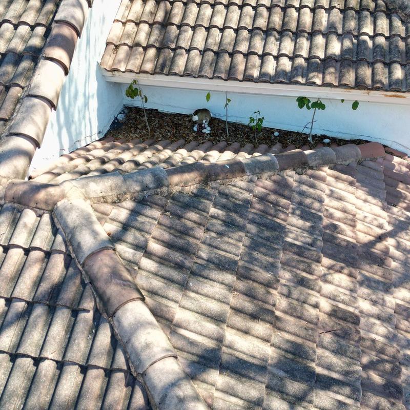 Concrete tile roof with debris in valley section