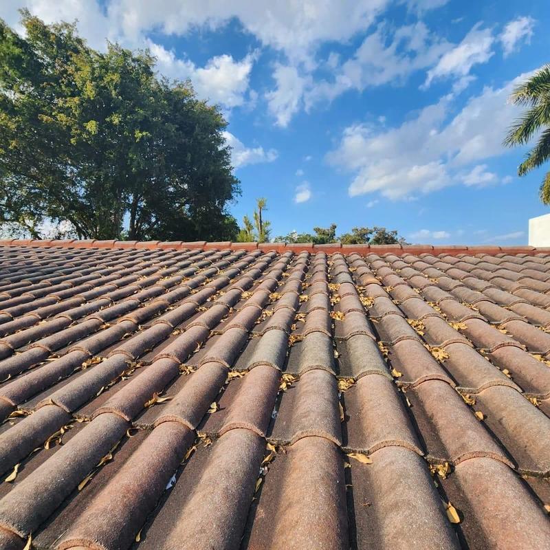 Concrete tile roof with debris and discoloration
