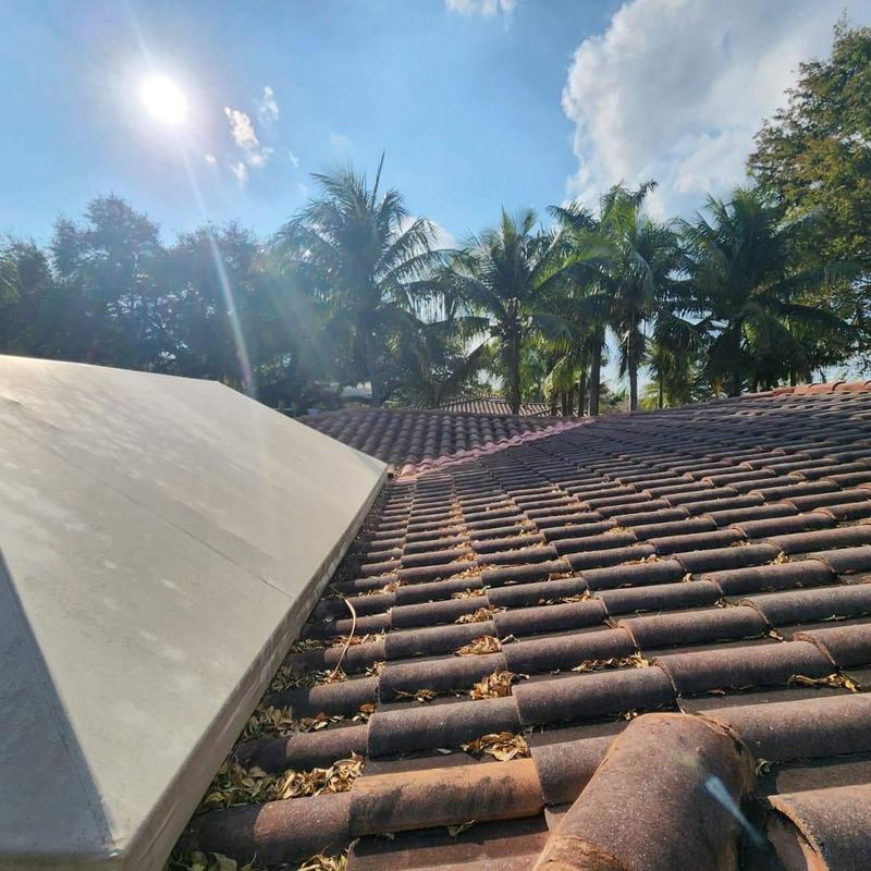 Concrete tile roof with debris and palm trees
