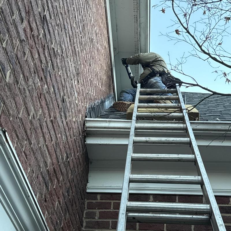 Fascia and soffit damage repair with ladder access