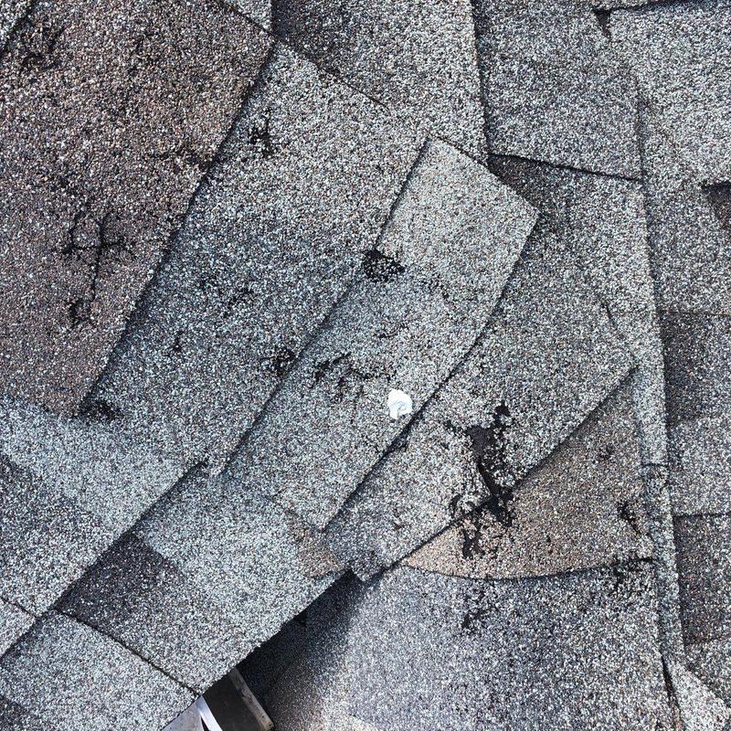 Asphalt shingle roof with visible granule loss damage