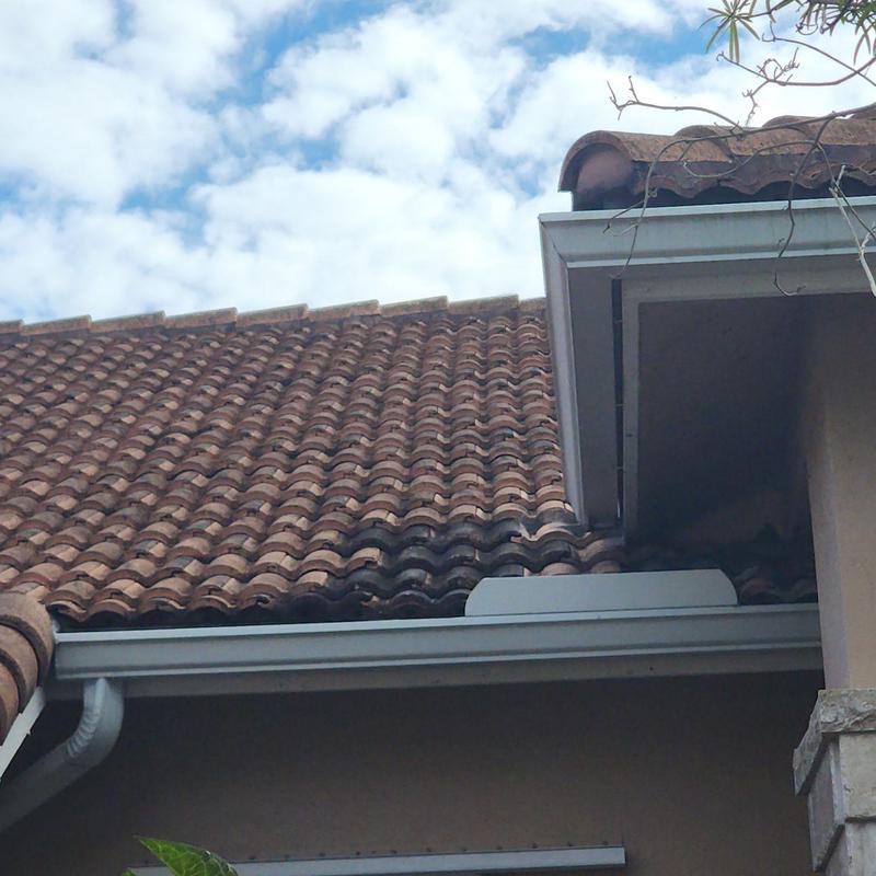 Tile roof with dark stain near gutter and eaves