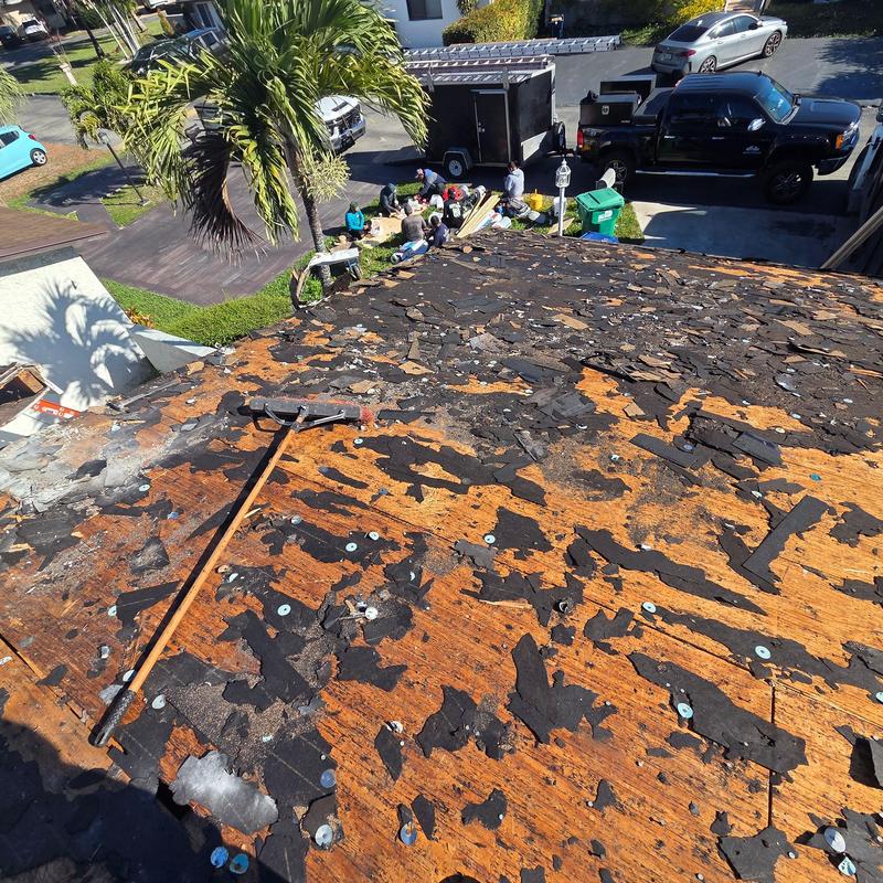 Shingle roof decking with old roofing debris removal