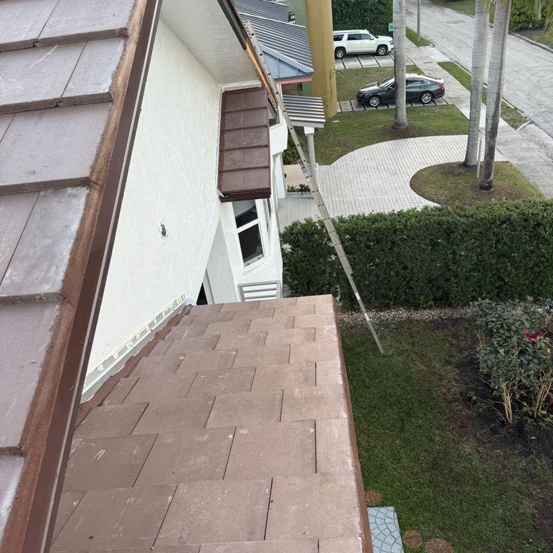 Concrete tile roof with ladder for replacement