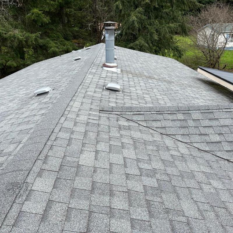 Asphalt shingle roof with vent pipes and chimney