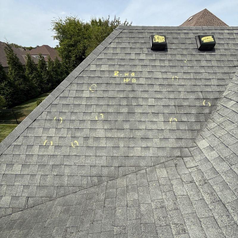 Asphalt roof shingles with marked hail damage points