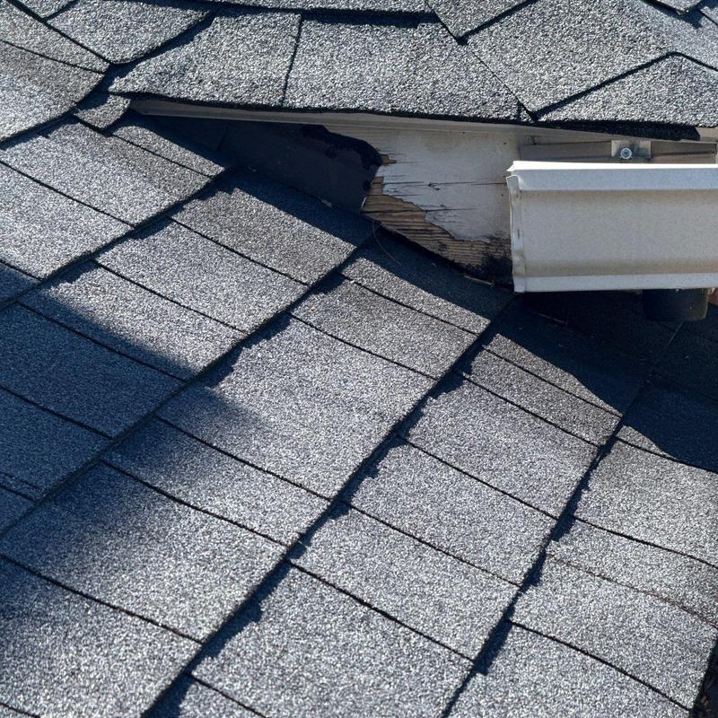 Shingle roof with damaged wood fascia near gutter edge