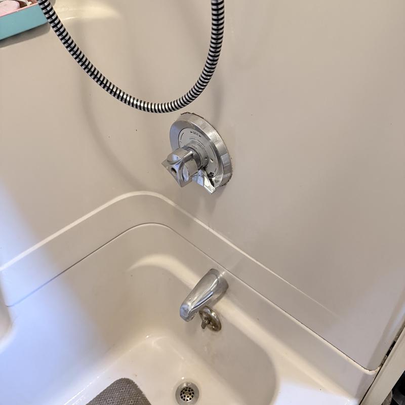 Shower valve and tub spout in bathroom tub