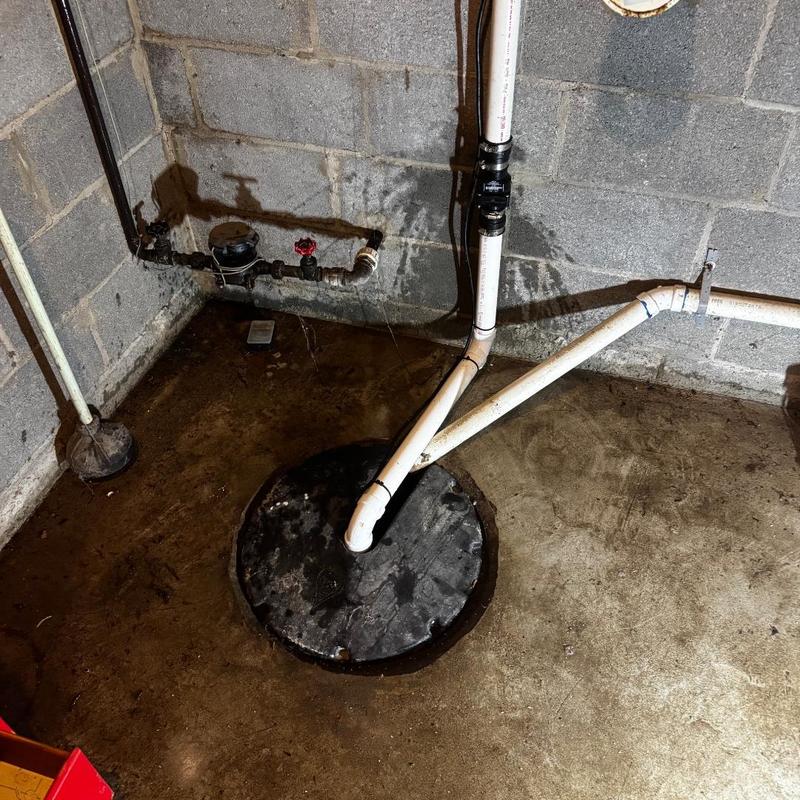 Zoeller M53 sump pump with Liberty check valve installation
