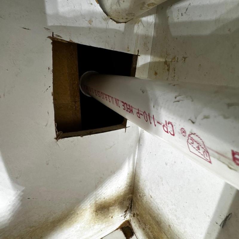 PVC drain pipe through kitchen cabinet cutout for access