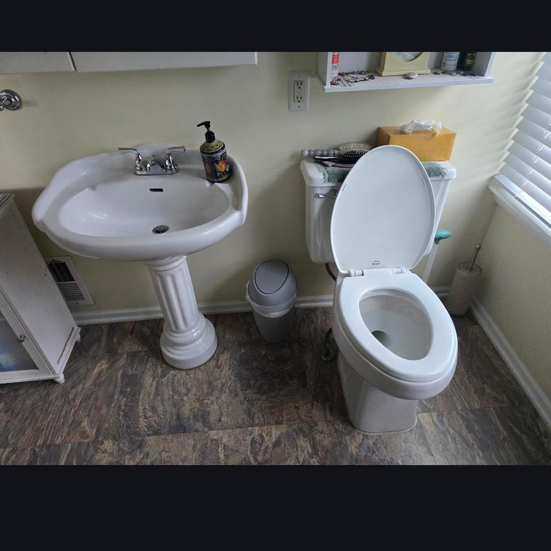 Toilet and pedestal sink with flooring and fixtures
