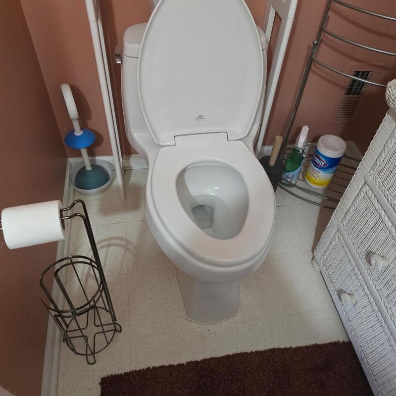 Toilet installation with pedestal sinks and bathroom accessories