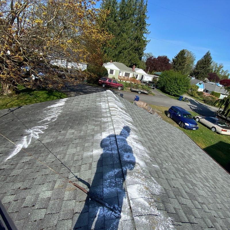 Roof shingles with moss residue after cleaning