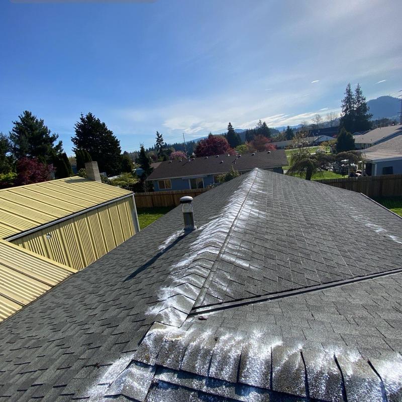 Roof shingles with cleaned moss and debris residue