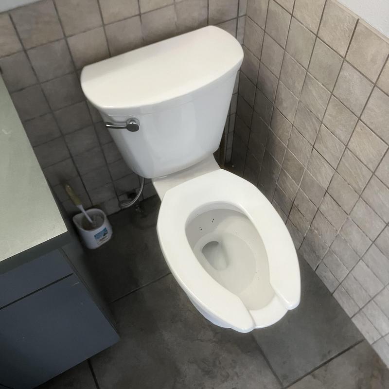 Toilet bowl and flush system inspection in bathroom corner