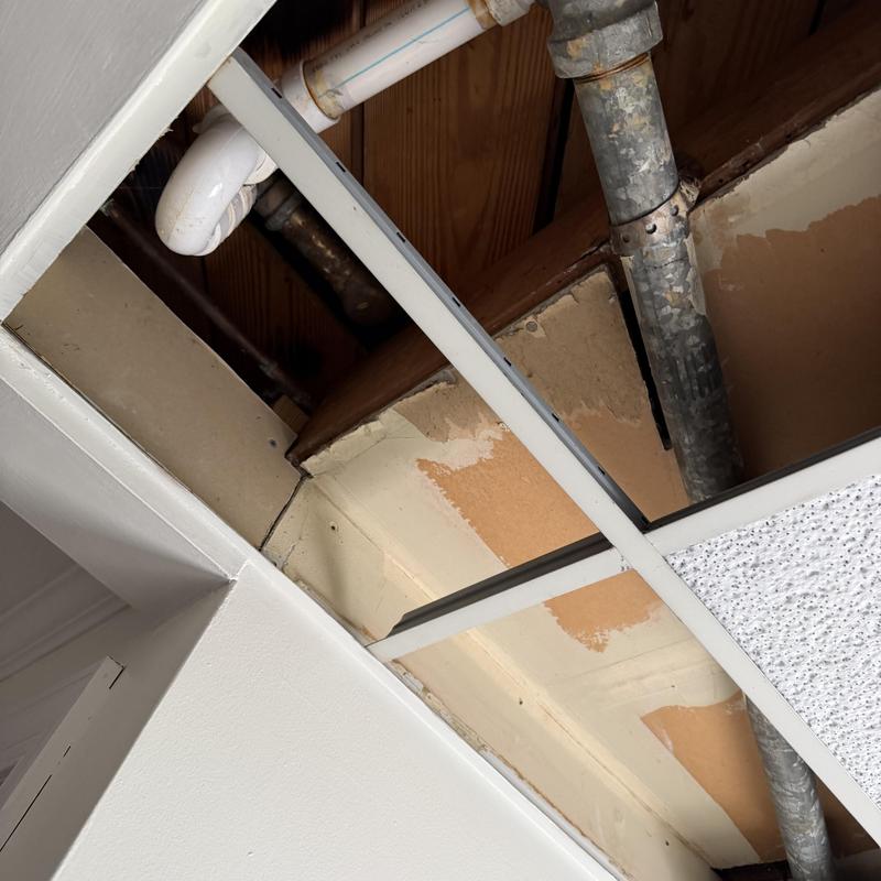 Bathroom secondary drain line and piping above ceiling tiles