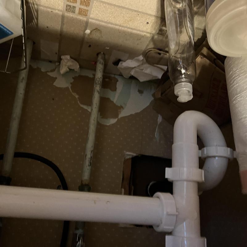 Galvanized piping and PVC drain pipes under sink